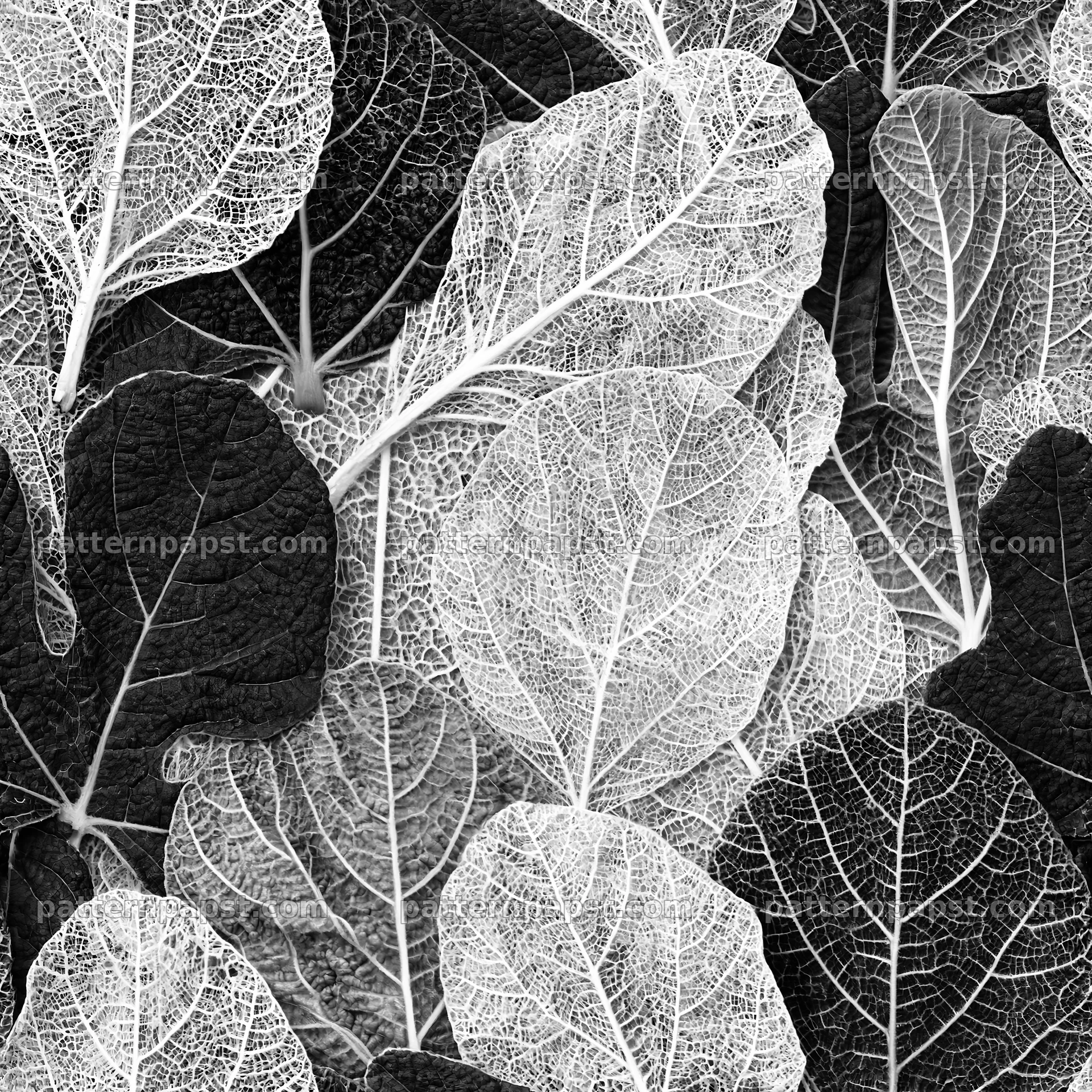 Seamless natural texture repeat pattern of black and white leaves — seamless tileable pattern