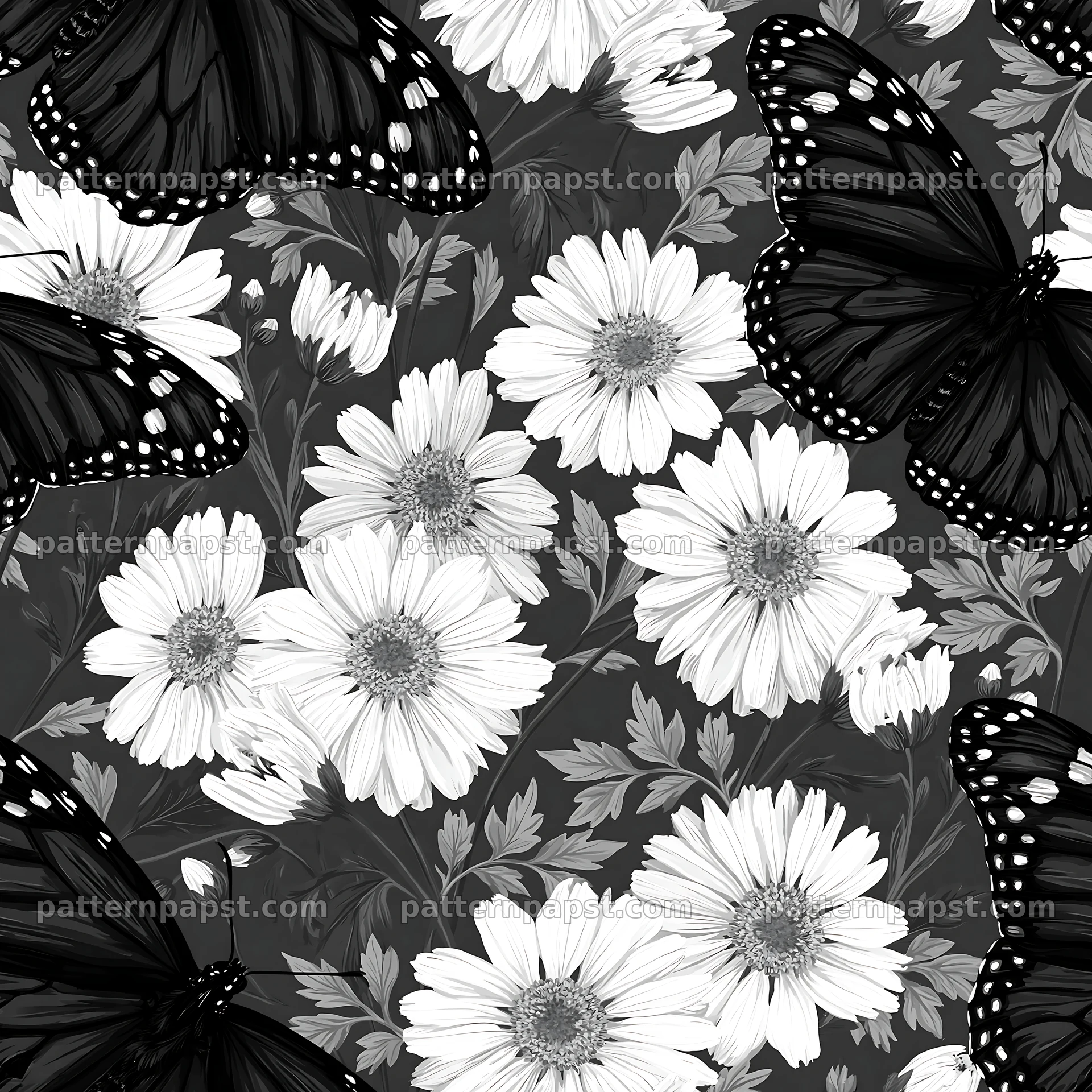 Butterfly and daisy seamless pattern in black and white — seamless tileable pattern