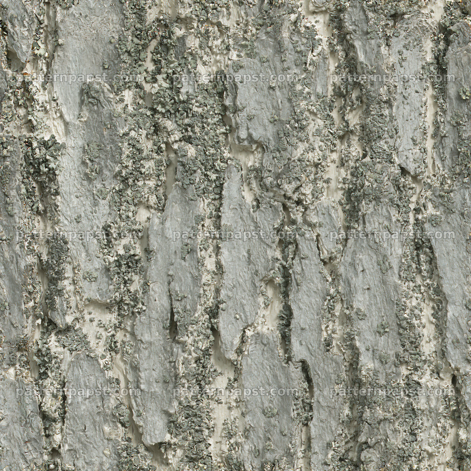 Seamless cool gray bark texture for fabric and wallpaper — seamless tileable pattern